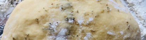 Rosemary & Garlic Pasta Dough