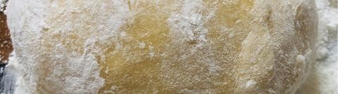 Pasta Dough